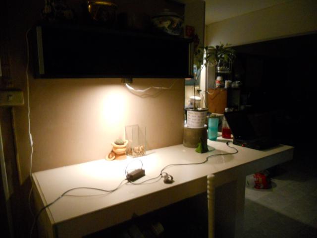 DSCN9077