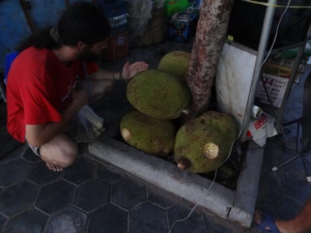 jaque frut