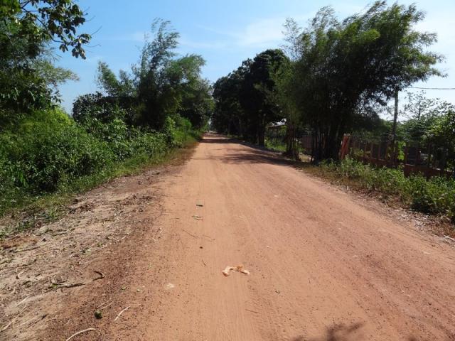 DSC01317