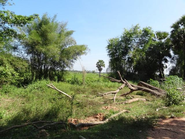 DSC01322