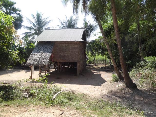 DSC01323