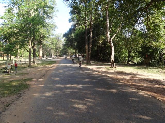 DSC01371