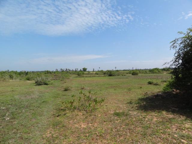 DSC01391