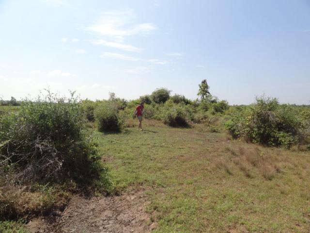 DSC01392
