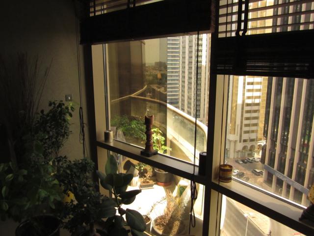 IMG 0113