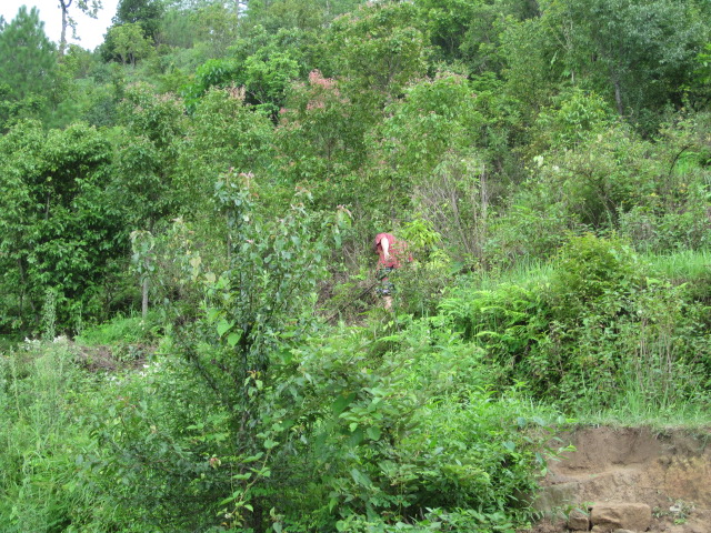 2012-07-27 11.32.32