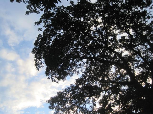 2012-08-05 15.13.30 copy