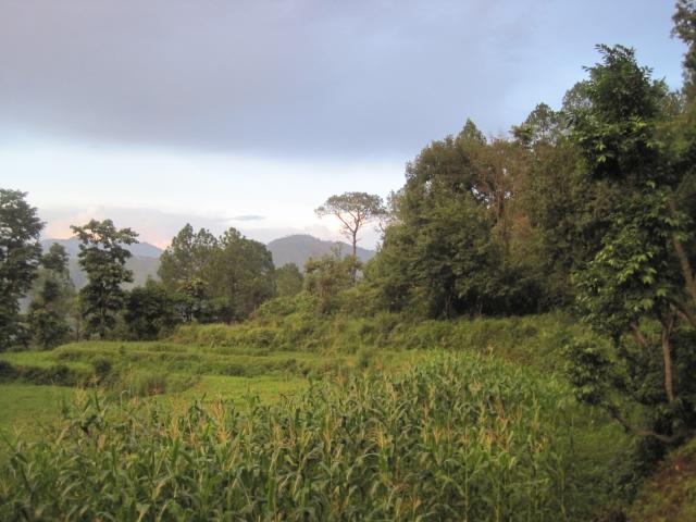 2012-08-06 15.33.37 copy
