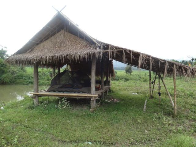 DSC00968