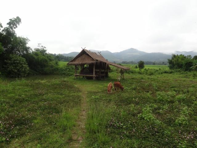 DSC00969