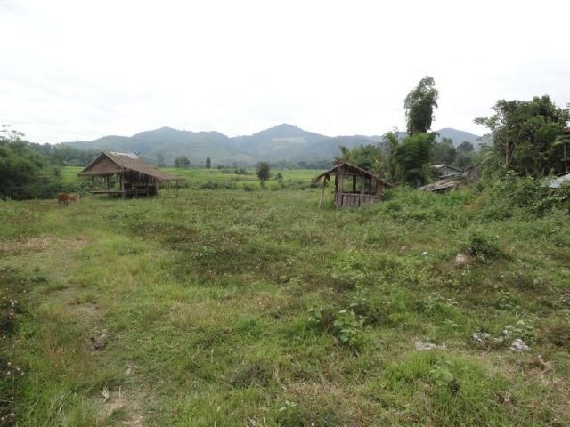 DSC00975