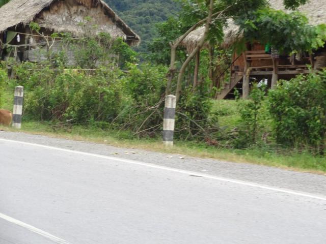 DSC00993
