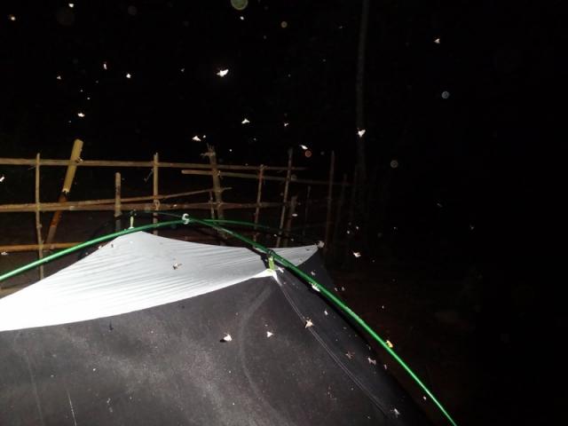 DSC01034