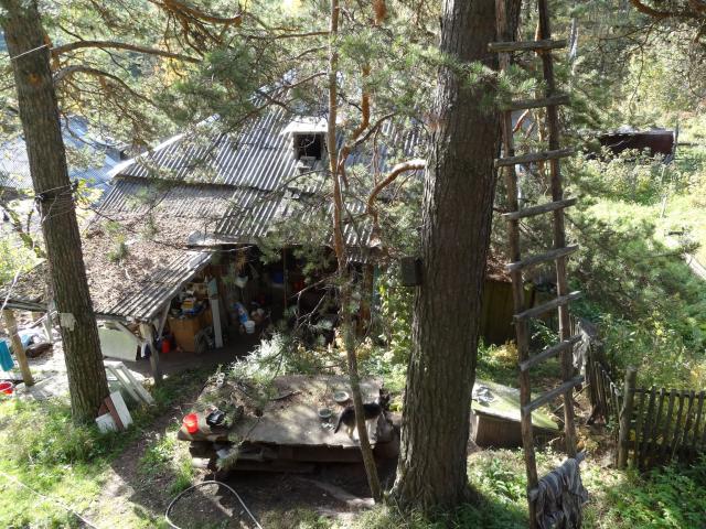 DSC00404