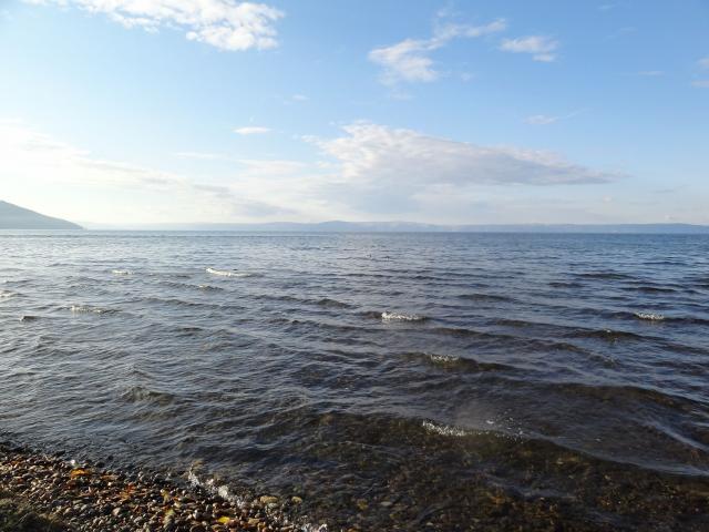 DSC00550