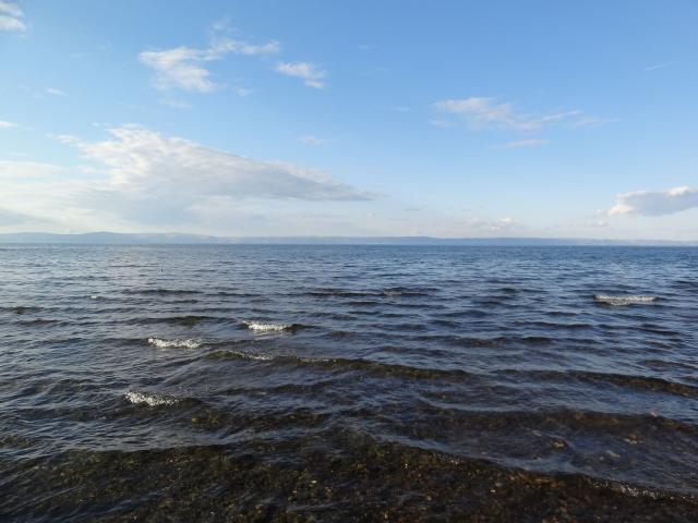 DSC00551