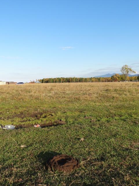 DSC00564