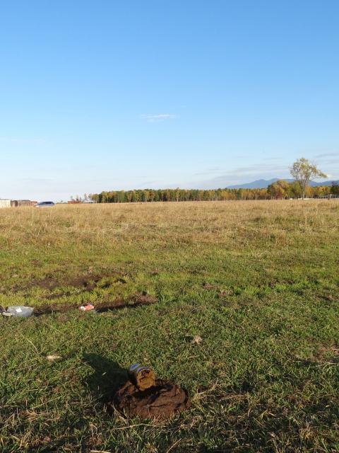 DSC00566