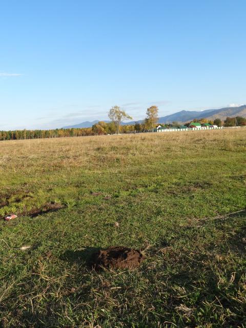 DSC00585