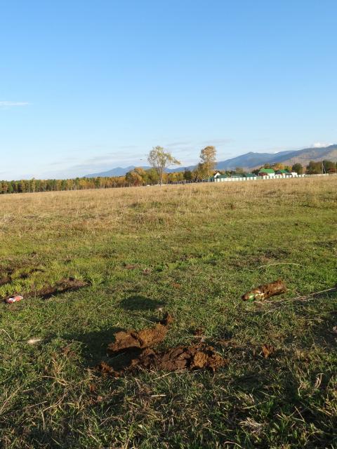 DSC00586