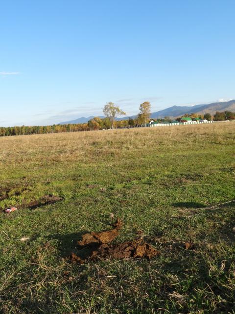 DSC00587