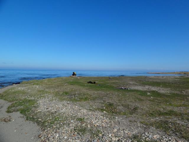 DSC00606