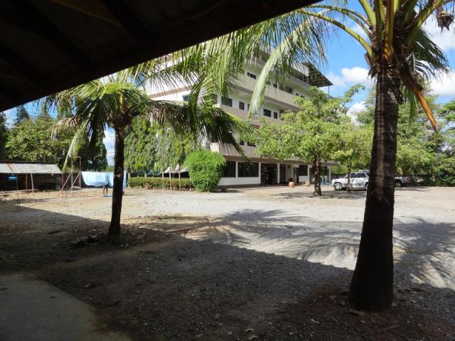 la cour