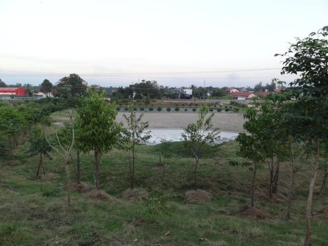 DSC01460