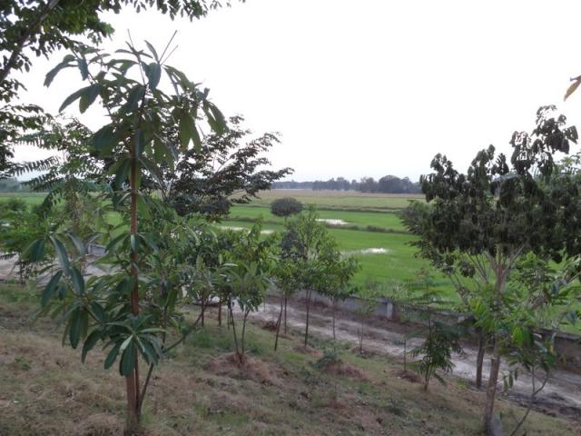 DSC01479