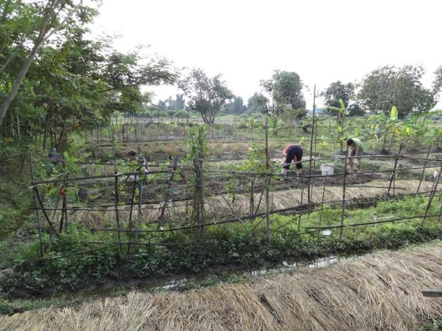 DSC01501