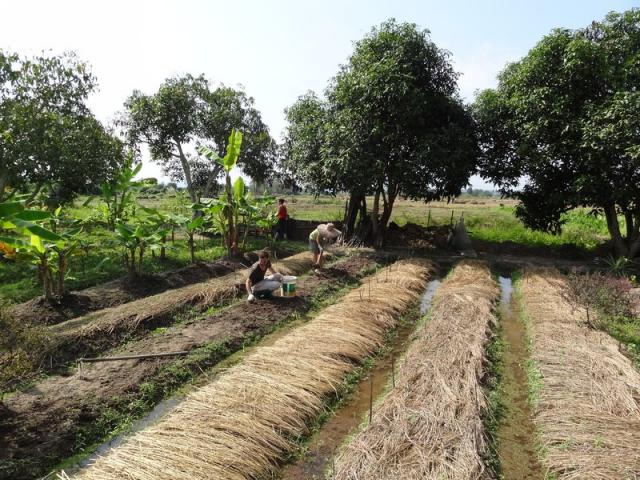 DSC01508