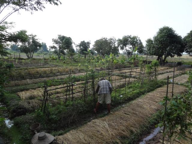 DSC01578