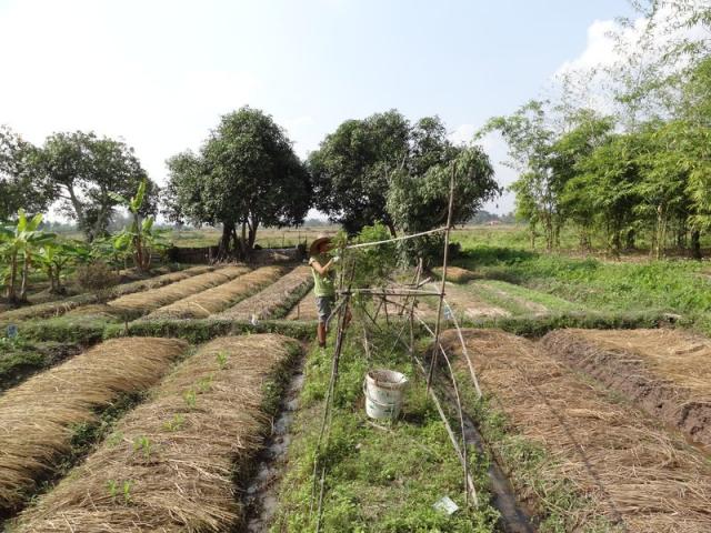 DSC01579