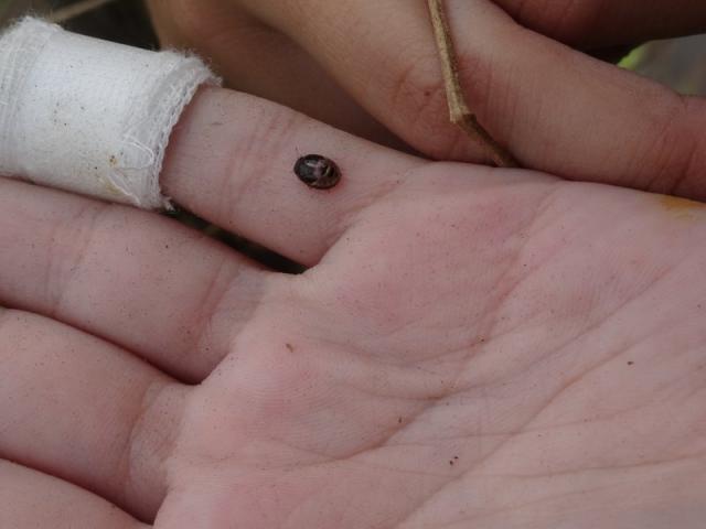 DSC01585
