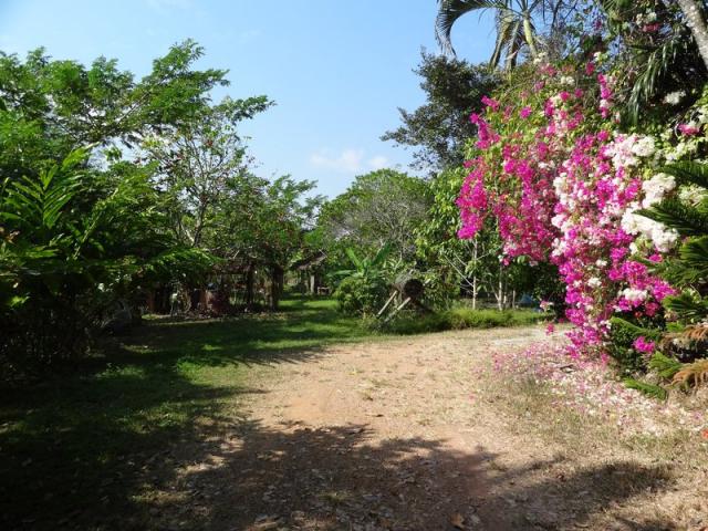 DSC01605