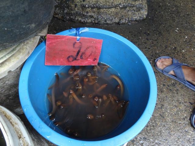 20 bath le serpent