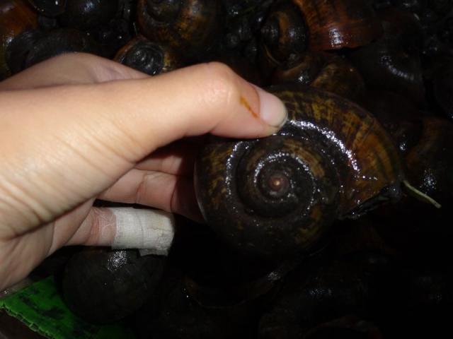 DSC01637