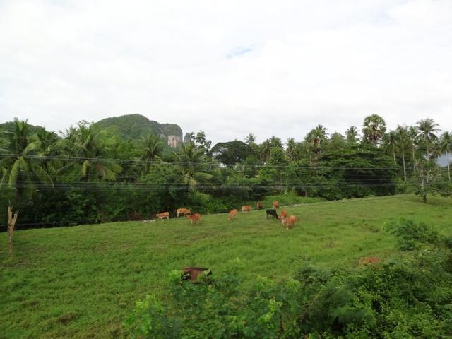 DSC01662