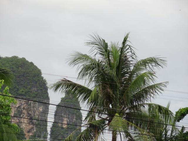 DSC01667