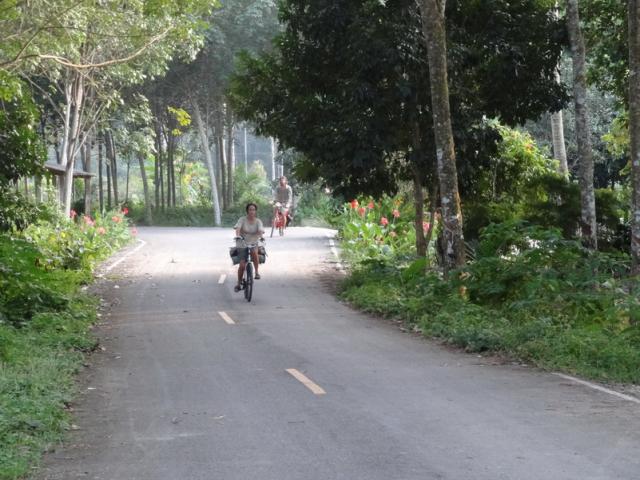DSC01800