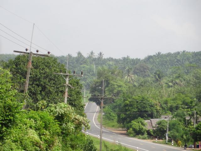 DSC01831