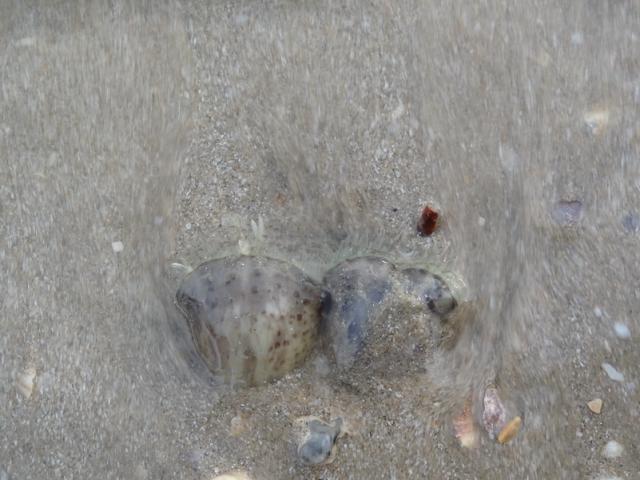 DSC02048