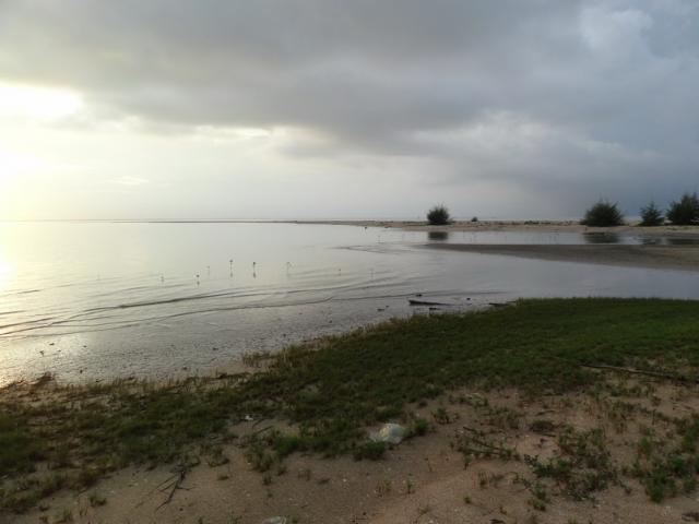 DSC02102