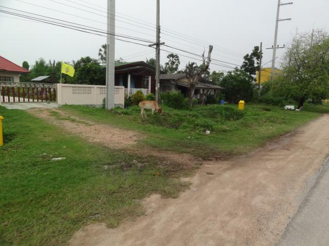 DSC02217