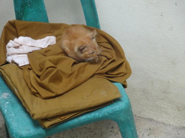 DSC02249