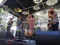 Lo'Jo en concert, toujours au WOMAD