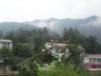 DSC00845
