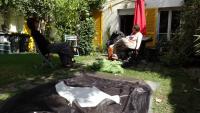 test de la tente chez bendan