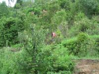 2012-07-27 11.32.32