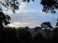 2012-08-05 15.16.20 copy